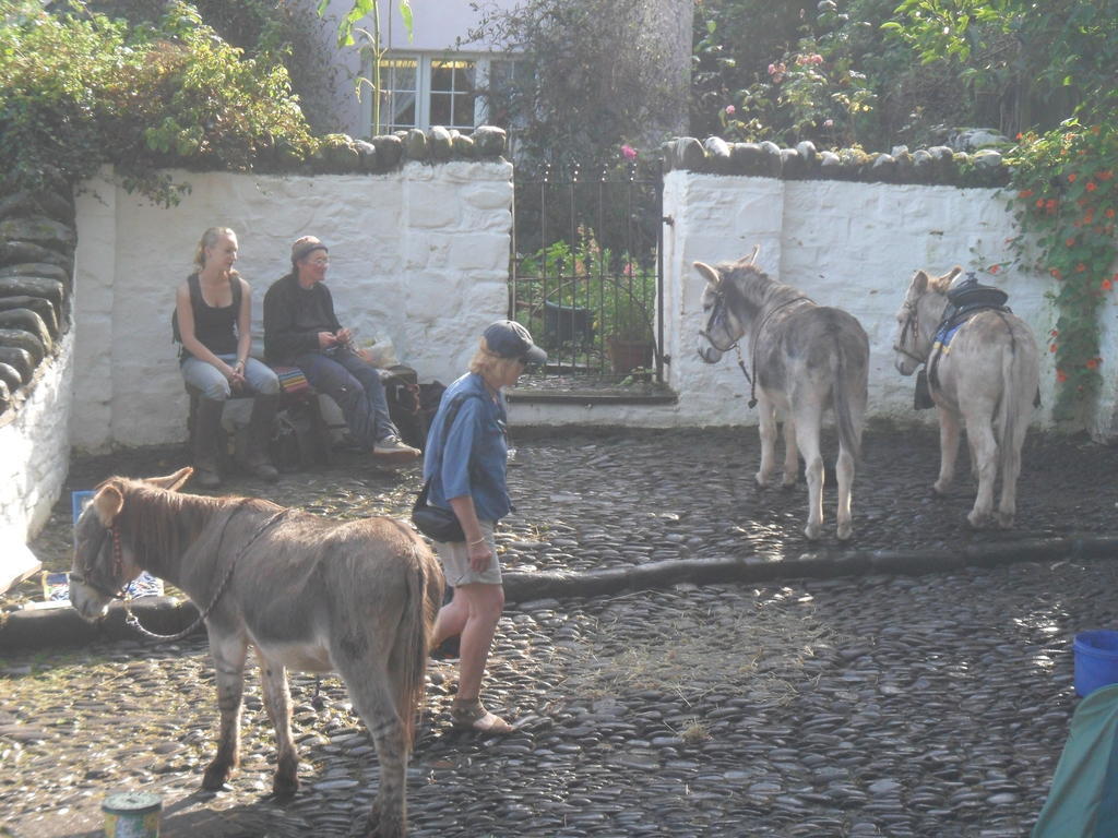 Westleigh House Farm Bed & Breakfast Bideford Exterior photo